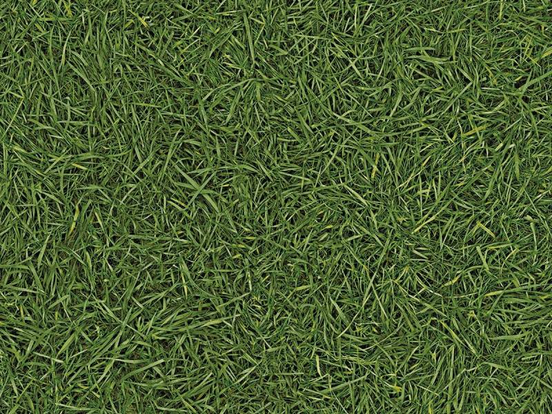 Дизайн - GRASS 25 - 3.5 м