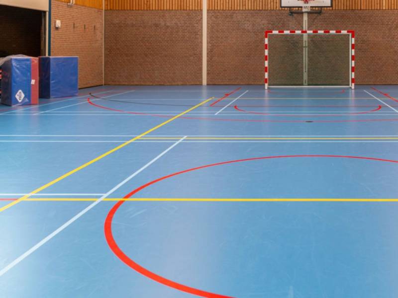 Линолеум SPORT 60/1.0 Дизайн - ГОЛУБОЙ ФОКС