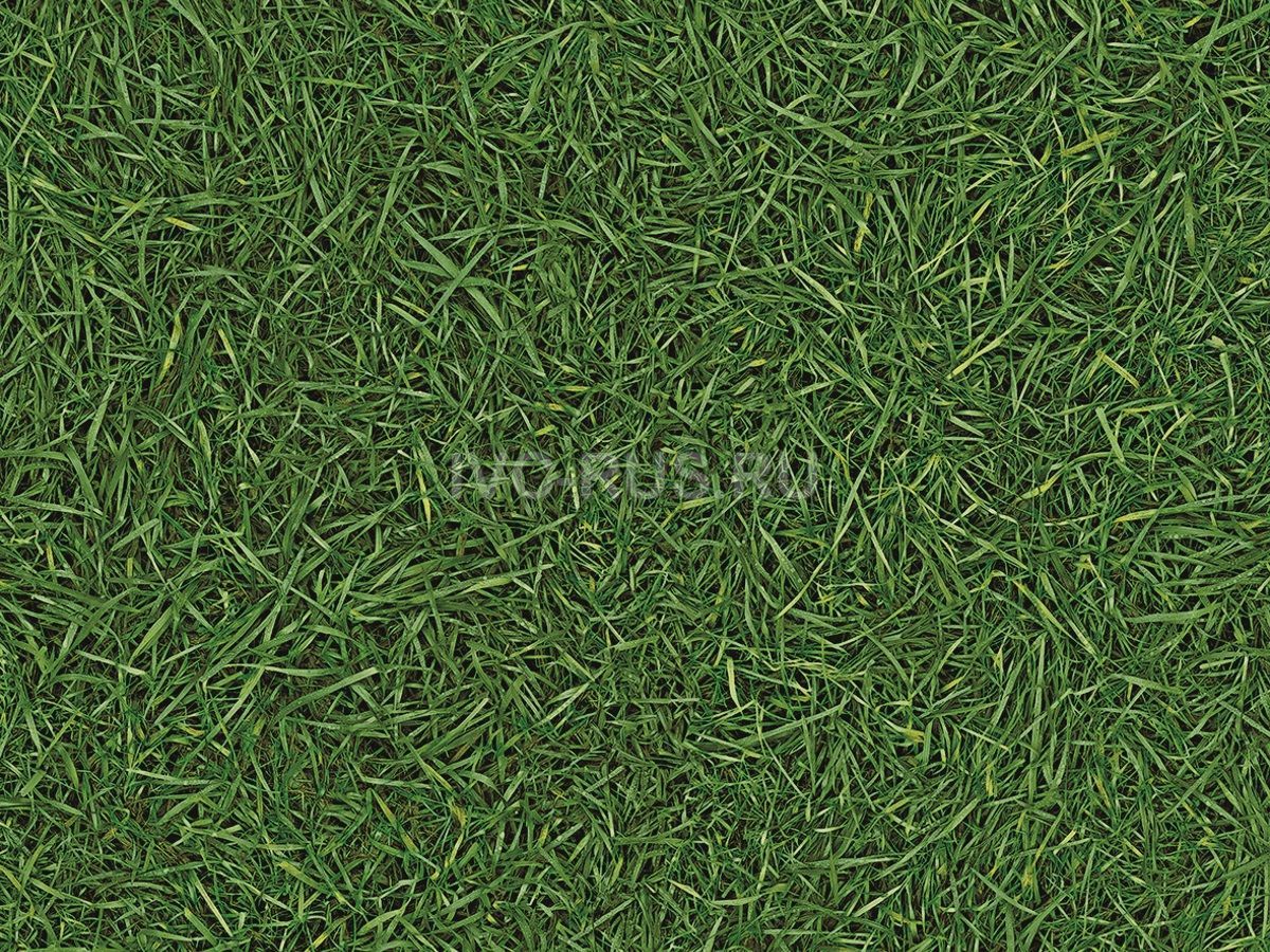 Линолеум ivc vision grass t25