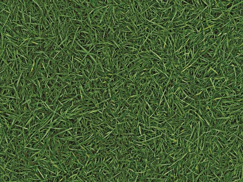 Дизайн - GRASS T25 - 3.5 м