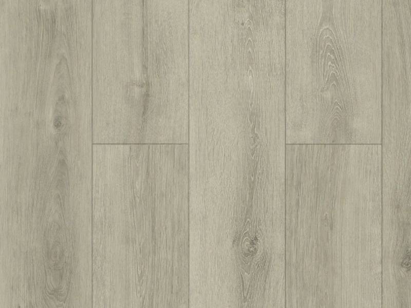 Дизайн - БЕРЁЗА КАРЕЛЬСКАЯ - 12шт м