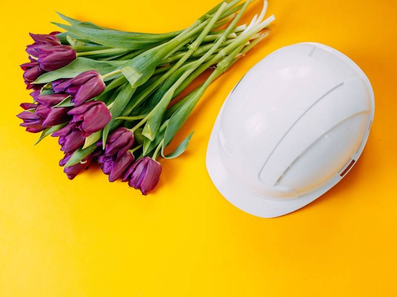 Дорогие женщины, строители, архитекторы, дизайнеры и руководители!